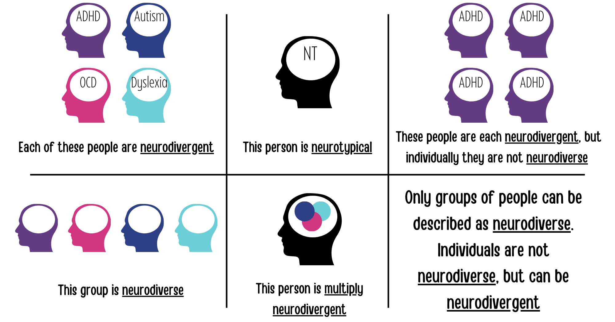 The image explains the concept of neurodivergence, using a grid with six sections. Top Left Section: Four silhouettes of heads, each labeled with a condition: ADHD, Autism, OCD, and Dyslexia. Caption: "Each of these people are neurodivergent." Top Middle Section: One silhouette labeled "NT" (for neurotypical), representing someone who is not neurodivergent. Caption: "This person is neurotypical." Top Right Section: Four identical silhouettes labeled ADHD, representing people with the same condition. Caption: "These people are each neurodivergent, but individually they are not neurodiverse." Bottom Left Section: A group of five different colored silhouettes. Caption: "This group is neurodiverse." Bottom Middle Section: A silhouette with multiple overlapping circles of different colors in the brain area. Caption: "This person is multiply neurodivergent." Bottom Right Section: Text explaining that "Only groups of people can be described as neurodiverse. Individuals are not neurodiverse, but can be neurodivergent."